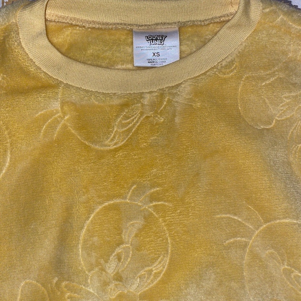 Looney tunes tweety sweater. Size XS